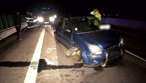 Na R1 vbehol srnec. Vodička strhla volant do zvodidiel