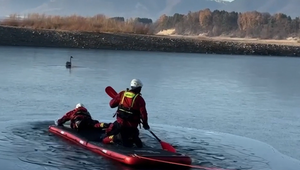 Dráma na ľade: Hasiči bojovali o život uväznenej labute