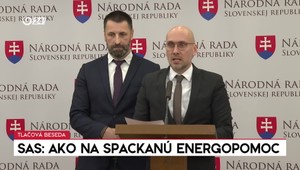 Tlačová beseda SaS: Ako na spackanú energopomoc