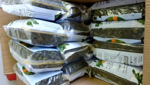 Slovenskí colníci zadržali osem kíl neznámej drogy poslanej z Afriky