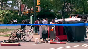 V newyorskom Central Parku zahynul mladík po páde z konského povozu