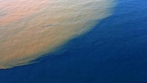 Roland prežil na mori 56 dní bez jedla