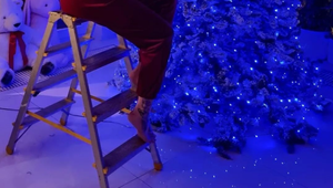 PRVÝ celebritný vianočný stromček už stojí: Ľudia jej ho vysmiali!