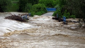 Vyčíňanie počasia spôsobilo obrovské škody, lesy sú zničené