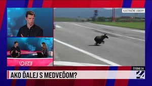 Štúdio 24: Ako ďalej s medveďom?