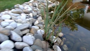 Záhadná smrť muža pri Brezne. Sedel opretý pri jazierku