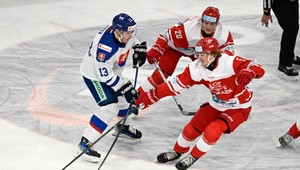Slováci potvrdili triumf na Nemeckom pohári. Po víťazstve nad Dánskom berú trofej