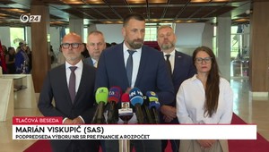 Tlačová beseda SaS ku konsolidačnému balíčku