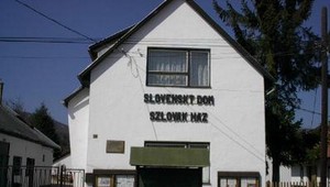 Snaha o vyhostenie Slovákov zo Slovenského domu