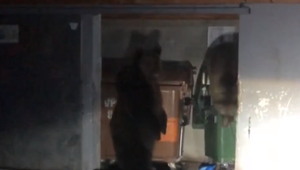 Riskantné zábery v Tatrách. Mladá žena stála len pár metrov od medvedice s mladými