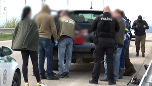 Netradičný suvenír: Turisti si chceli domov odviezť medveďa