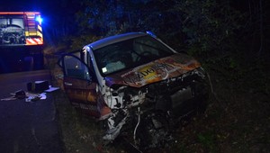 Namiesto donášky pizze skončil v strome. Muž pod vplyvom alkoholu svoju objednávku nedokončil