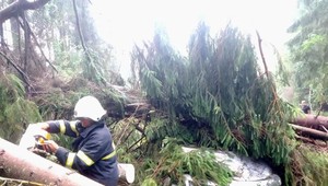 FOTO: Na auto s 5-člennou rodinou sa zrútili stromy. Z vozidla ich museli vyslobodiť hasiči