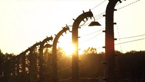 Nehodní žitia: Plynové komory pôvodne neboli pre Židov