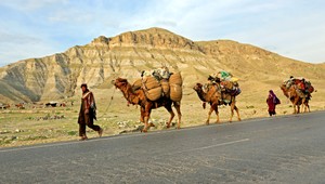 Pri zosuve pôdy zomrelo viac ako 2 100 ľudí