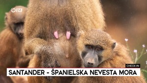 Check-in: Santander - Španielska nevesta mora