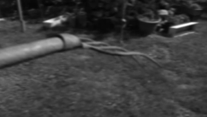 Rodinný konflikt vyústil do útoku: Syn napadol rodičov vidlami, matka utrpela vážne zranenia