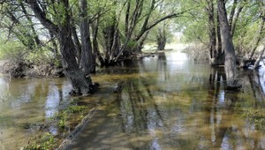 Povodeň na českej Morave končí