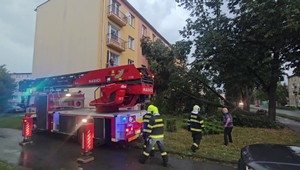 Mohutná lipa zdemolovala bytovku, vietor ju vytrhol z koreňov