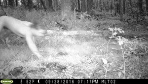 Príbeh o nadrogovanom Čechovi si Poliaci vymysleli