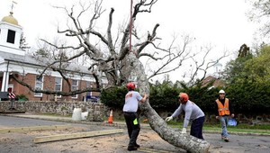 Šesťstoročný dub, pod ktorým sedával George Washington, vyrúbali
