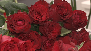 Ako osláviť Valentína? Niekto kyticou, iný dobrou knihou