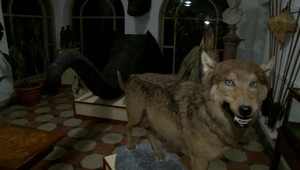 Zákulisie zo seriálu 1890, na čo všetko si museli dávať filmári pozor?