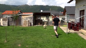 Susedský spor pre dvoch psov sa vyhrotil. Do obce museli prísť pracovníci Regionálnej veterinárnej a potravinovej správy