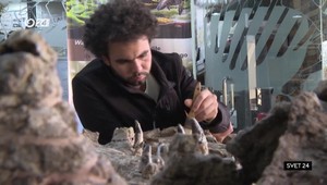 Svet 24 o filipínskom ostrove Bohol aj o špeciálnych okuliaroch