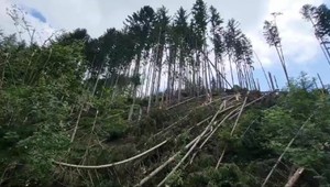 Intenzívne búrky spôsobili na Slovensku energetickú kalamitu