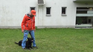 Záchranár Bony v ruinách prevalcoval 70 chlpatých kolegov z ôsmich krajín Európy