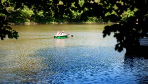 Na východe vypustili rybník v čase rozmnožovania, rybári zúria