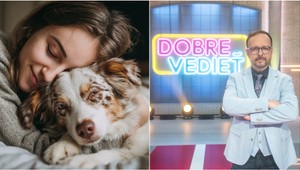 Dobre vedieť! Vedci odhalili svoj objav: Psy už pre nás nechcú pracovať, túžia po TOMTO!
