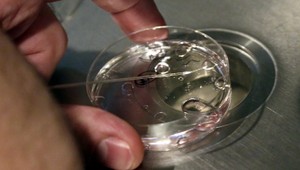 Editovanie ľudských embryí. Vedci volajú po diskusii