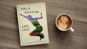 Malá krajina: Ohromujúci príbeh o detstve a vojne