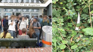 V škole vo Viedni mal dievča pobodať neznámy fantóm. V prípade nastal šokujúci zvrat