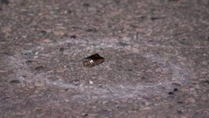 Muž sa postavil do cesty guľkám, aby chránil milovanú osobu