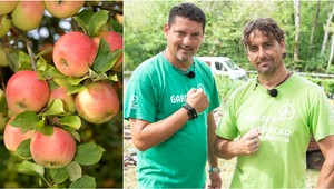 Chcete bohatšiu úrodu ovocia a zeleniny? Vyskúšajte tento tip od skúsených záhradkárov!