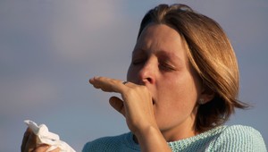 Po pandémii covid-19 stúpol počet ľudí s alergiami, najmä na psy a mačky