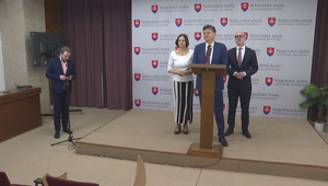 Tlačová beseda strany SaS o kauze Fafokan