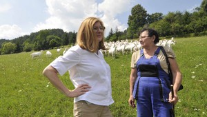 Matečná ponúka pomoc farmárom v boji proti suchu. Vyhlasuje miliónovú výzvu