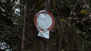 Pri pokojnej rybačke zadržali policajti štyroch dôchodcov. Pred celou ich ochránil až verdikt lekára