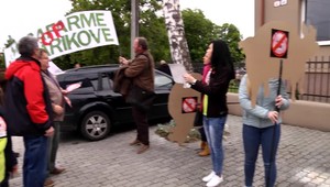 Investor chce v Palárikove chovať 160 000 ošípaných. Obyvatelia ale protestujú