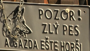 Svorka psov zaútočila na mamičku s dieťaťom. Ročné dievčatko jeden z nich pohrýzol do nohy