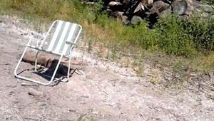 Smutný psí príbeh... Sučku našli vychudnutú na poľnej ceste