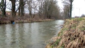 Manželia našli v potoku zúboženého psa, na hlave mal stopy po sekere