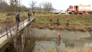 Otrasný čin v obci Malinovo: V miestnom potoku našli štyri mŕtve zvieratá, mohli byť týrané