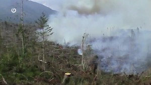 20 rokov od najväčšieho požiaru v Tatrách: Plamene ohrozovali ľudí, zasahovali stovky hasičov