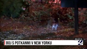 Pozrite si zhrnutie aktualít v relácii Udalosti 22 z dňa 3. decembra 2022