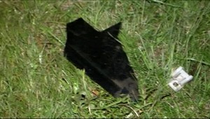 Starší vodič zrazil dve medvieďatá. Zrážke predísť nemohol